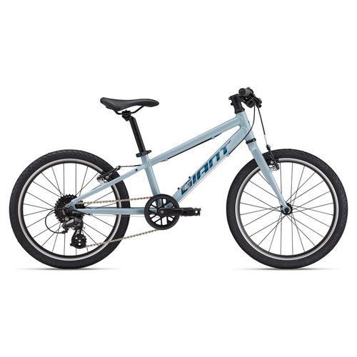 Bicicleta Copii GIANT 2025 ARX 20"er Soap Suds